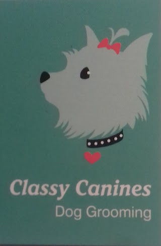 Classy Canines