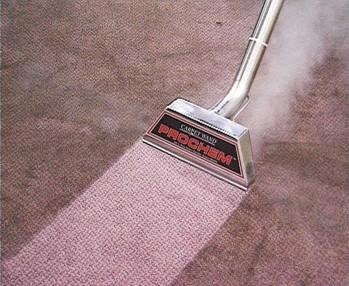 Carpet Care