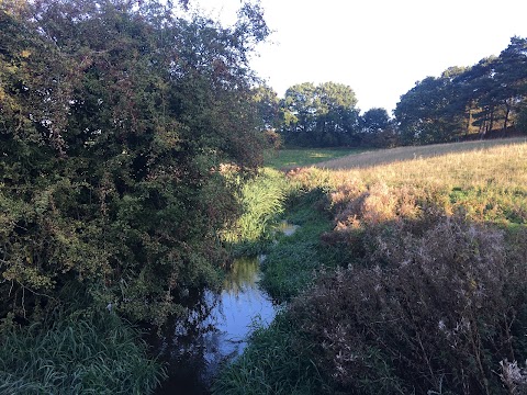 Cuckney Water Meadows