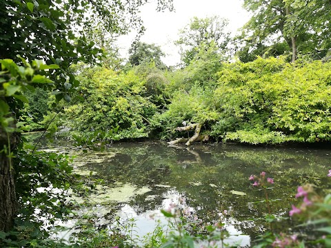 Roath Park Wild Gardens