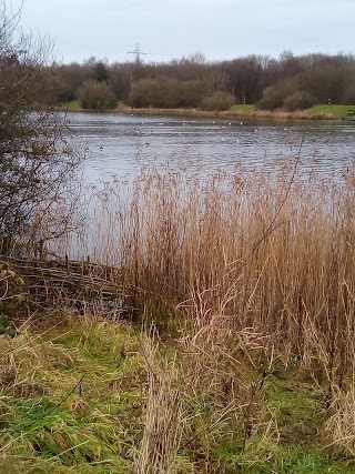 Blackleach Country Park