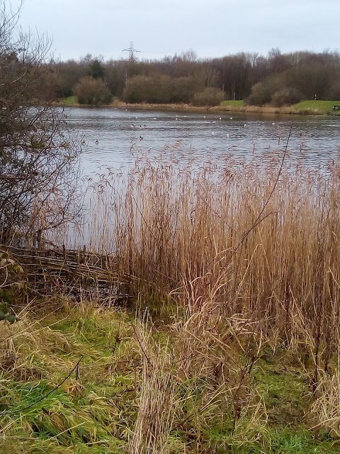 Blackleach Country Park