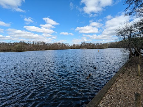 Salhouse Broad