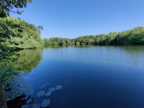 Plantsbrook Local Nature Reserve