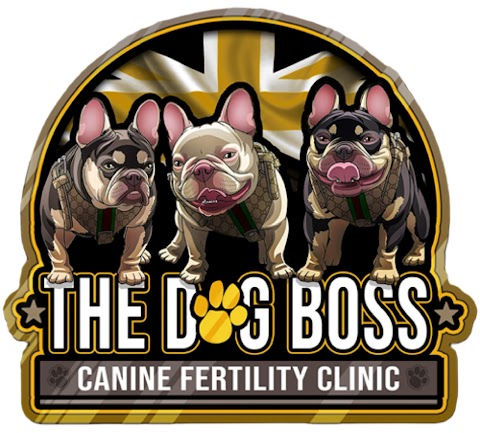 The Dog Boss HQ