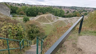 Wren's Nest