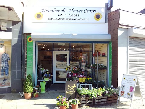 Waterlooville Flower Centre