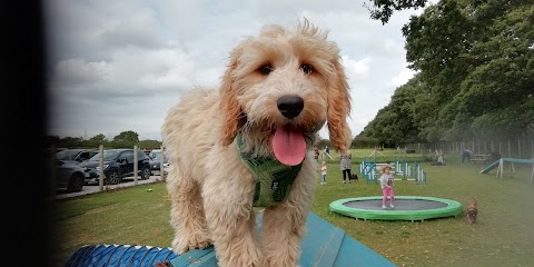 Happy Tails dog park Ledsham