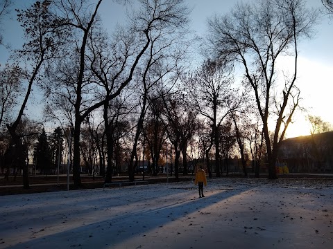 Центральний парк