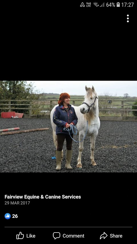 Fairview equine and canine services