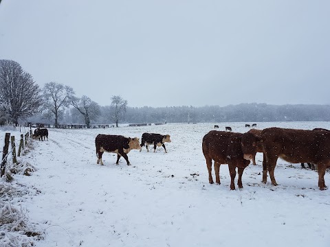 The Hurst Water Meadow Trust