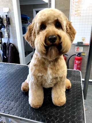 Barkers Professional Dog Grooming