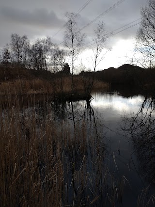 Jacksons Brickworks Local Nature Reserve