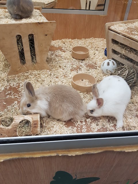 Pets at Home Walsall