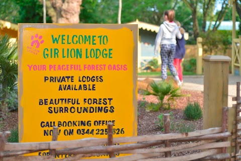 Gir Lion Lodge