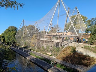 Monkey Valley - London Zoo