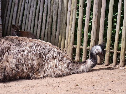 Wild Zoological Park