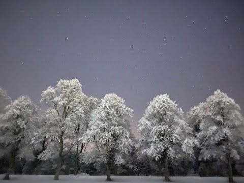 Darley Playing Fields