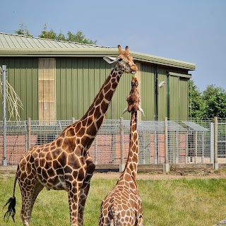 Banham Zoological Gardens