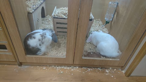 Pets at Home Bradford Idle