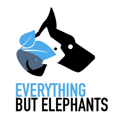 Everything But Elephants