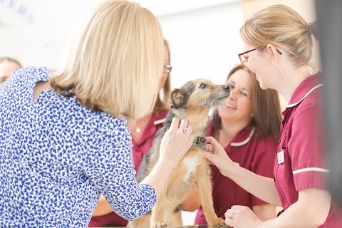 Three Rivers Veterinary Group