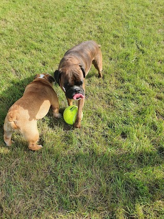 Off The Lead Dog Park