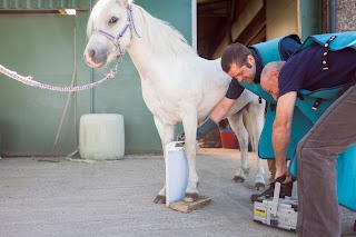 Agnew Equine Ltd.