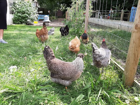 Southampton City Farm