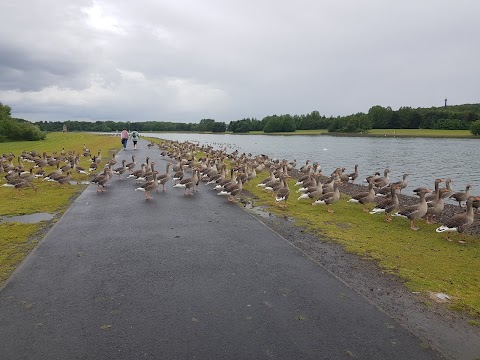 Strathclyde Country Park