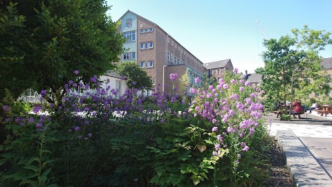 Dalhousie Land, The University of Edinburgh