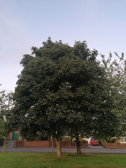 Ward Park Playing Fields And Garden