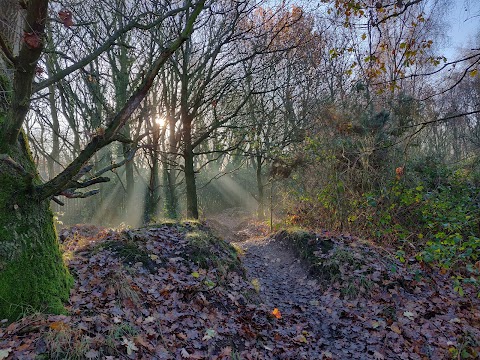 Shire Oak Park LNR