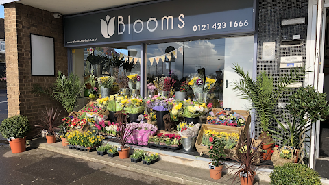 Blooms The Florist