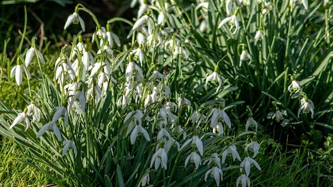 Wilford Meadow - Wildlife Area