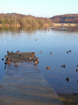 Ulley Country Park