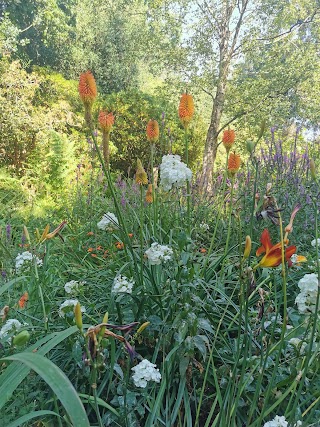 Edwardian water garden