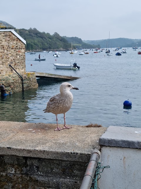 The Salcombe Yawl