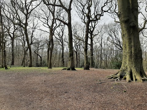 Hirst Wood