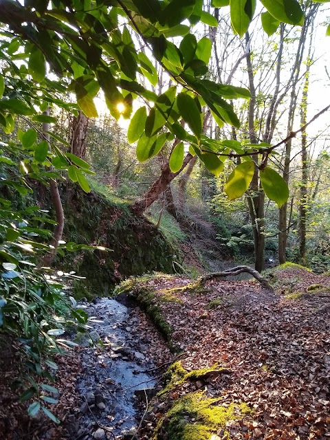 Redburn Country Park