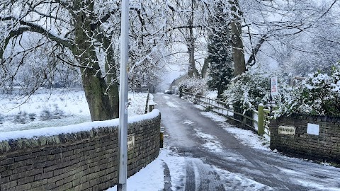 Swans Pool