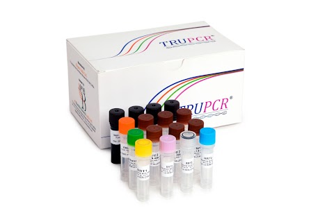 TRUPCR Europe