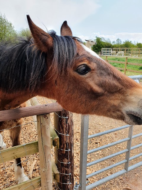 Walnut Tree Farm Park