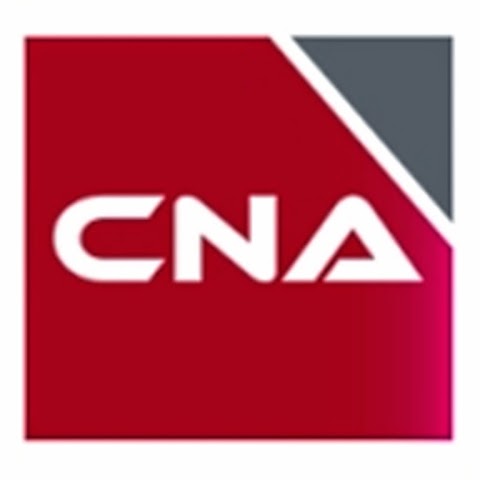 Cna & Co Chartered Certified Accountants