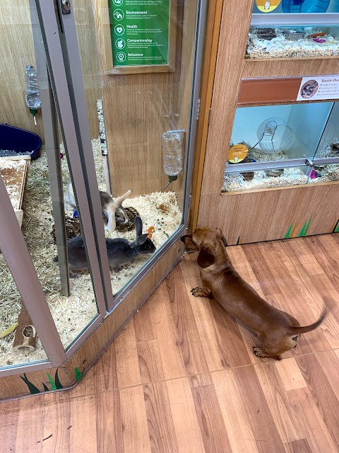 Pets at Home Maidenhead