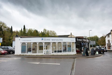 The George Veterinary Clinic