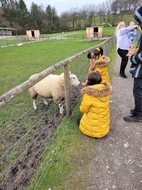 Wiggleys Fun Farm