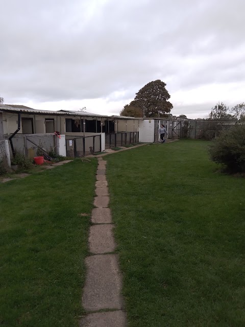 Sunnymead Boarding Kennels & Cattery