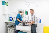 Pet Practice Veterinary Surgery