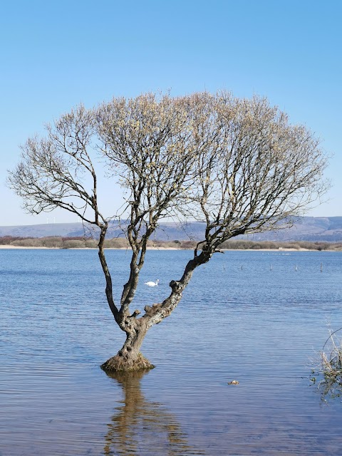 Kenfig Pool - South Hide